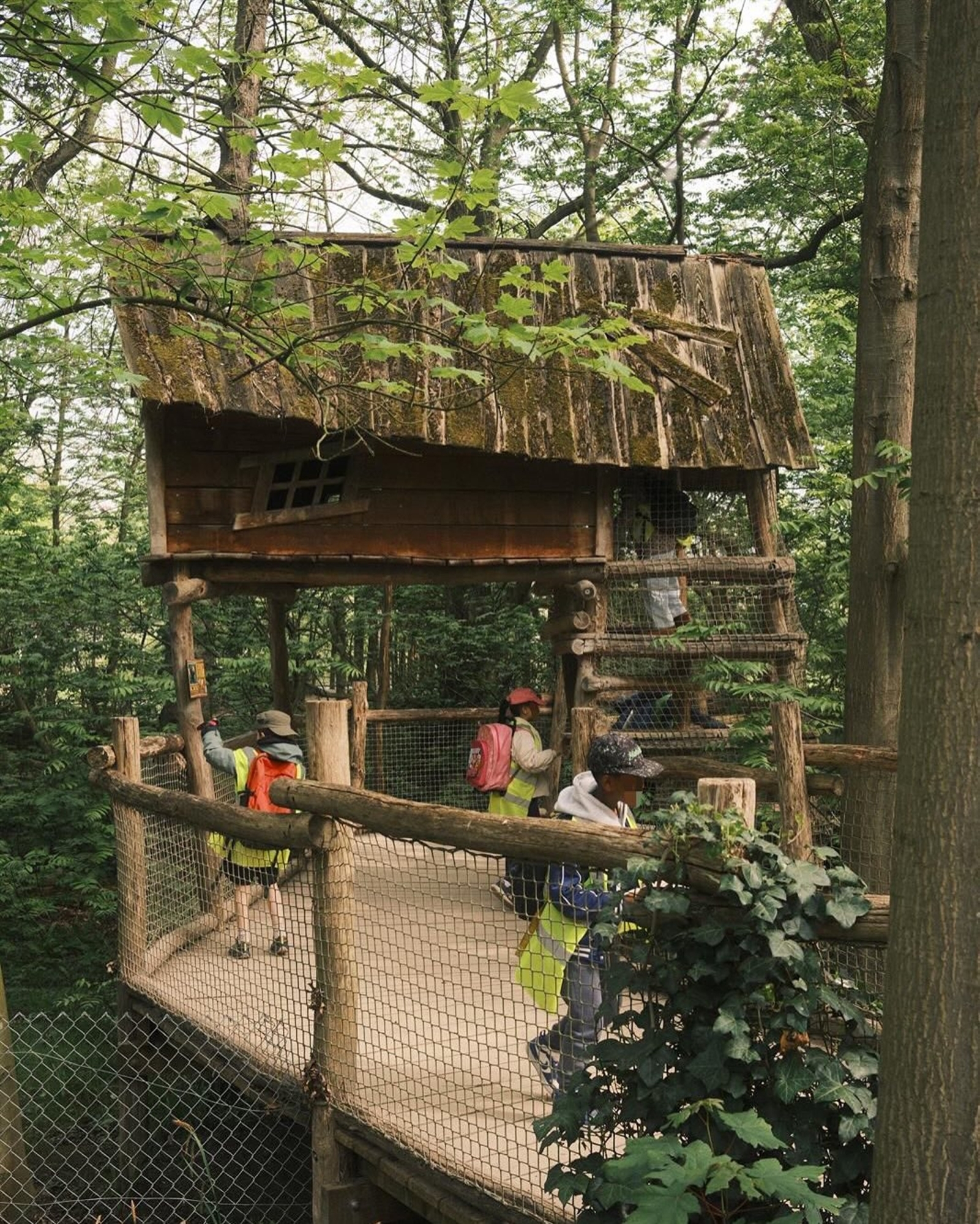 Uitstap planckendael